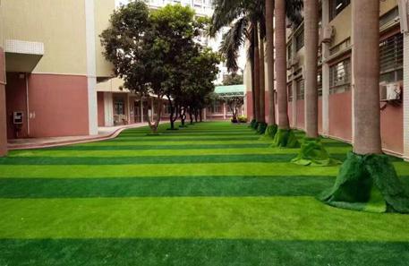 深圳龍華中英文學(xué)校人造草坪